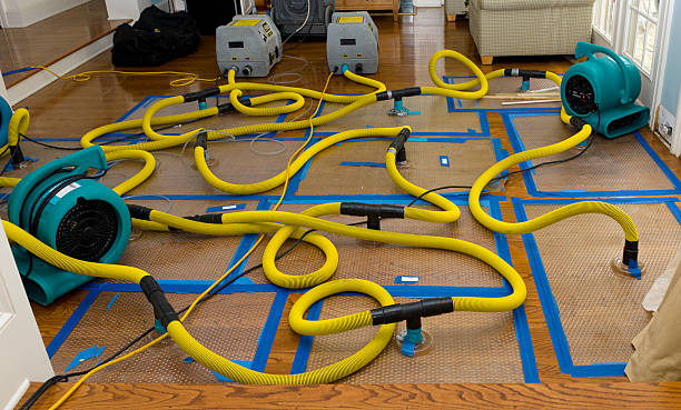 Professional Crawl Space Water Removal technician working in Winder, GA